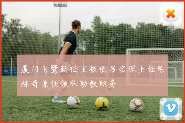 厦门飞鹭新任主教练吕宏琛上任陈林奇兼任领队助教职务