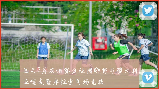 国足3月友谊赛分组揭晓将与澳大利亚喀麦隆库拉索同场竞技