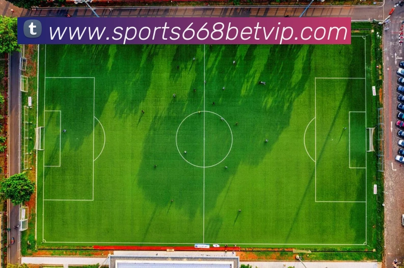 668体育平台生态图